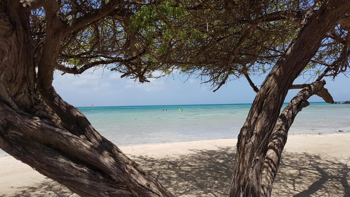 Aruba Beach Villas Palm Beach Eksteriør billede